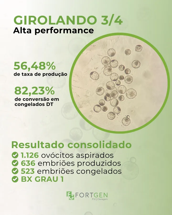 Post de resultado: Girolando 3/4 com 56,48% de taxa de produção