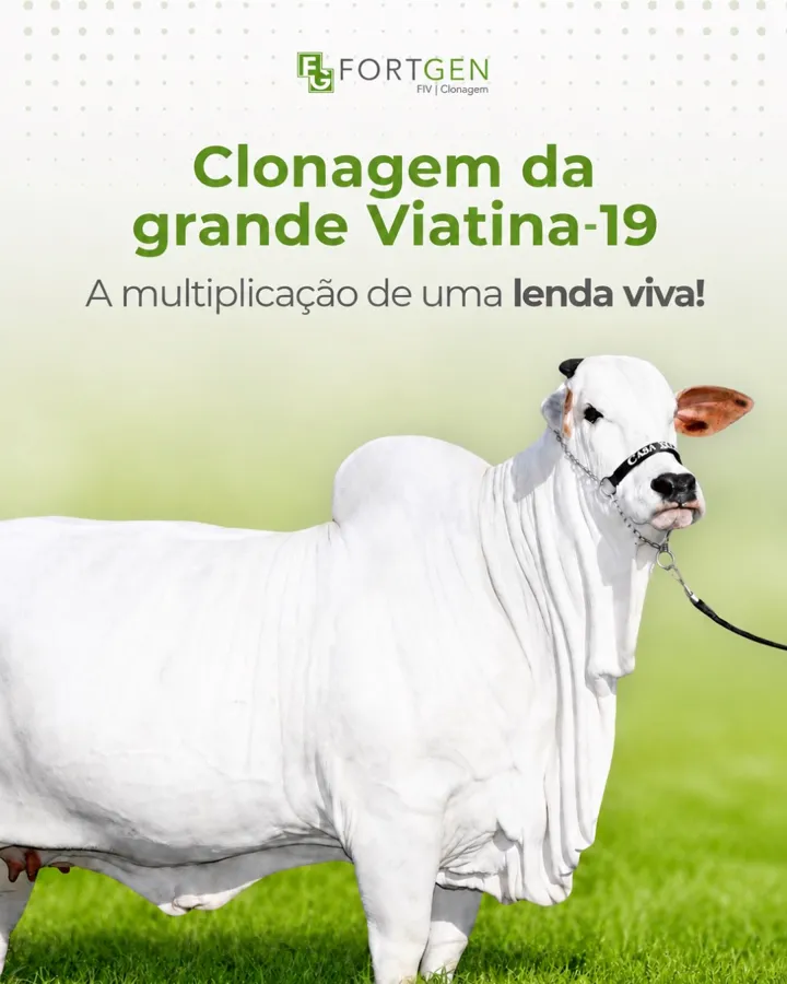 Clonagem da Viatina-19